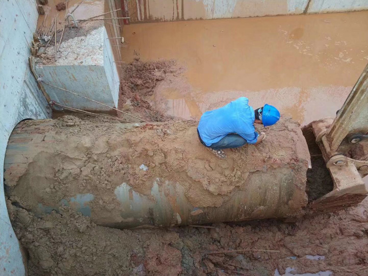 7331569302165486.jpg 04.jpg